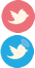 Follow us on Twitter